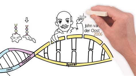 Crispr Cas9 History