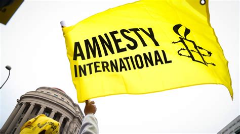 Amnesty International Gets International Law Wrong In Africa | Saxafi Media