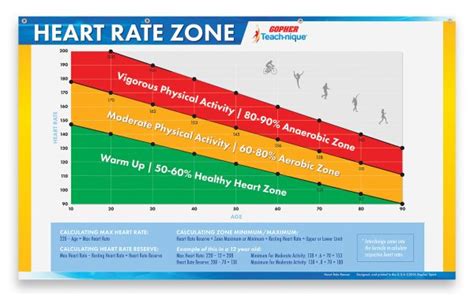 VO2 Max and Other Key Markers of Fitness and Longevity - Cultural ...