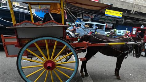 Tartanilla Pinaka Sikat na Sasakyan dito sa Lion Kilat St. Cebu City ...