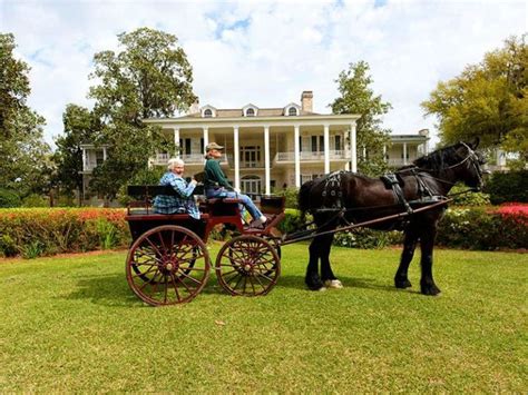 10 Best Things to Do in Thomasville, Georgia - TripsToDiscover | Things ...