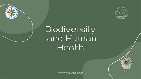 Biodiversity and human health - YouTube