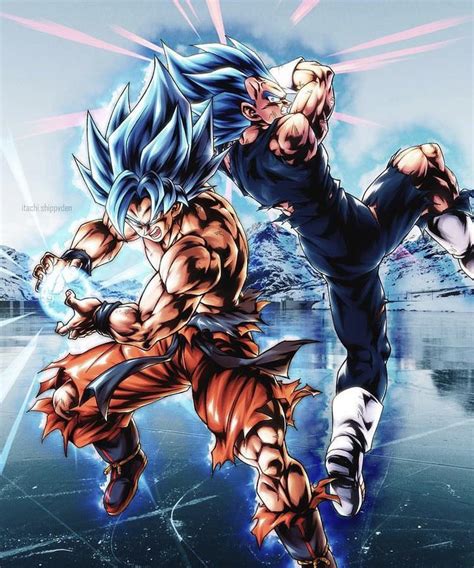 Super Saiyan Blue Goku & Vegeta : r/Dragonballsuper