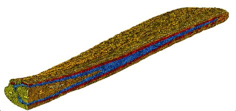 Assembly of the three components of rostrum (i.e., tissue, hard ...