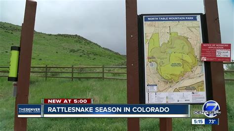 Be watchful of rattlesnakes on Colorado trails this season