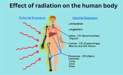 Electromagnetic Radiation Effect On Human Body