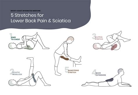 Stretches & Exercises for Lower Back Pain and Sciatica | Rocky Coast ...