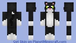 Tuxedo Cat Minecraft Skin