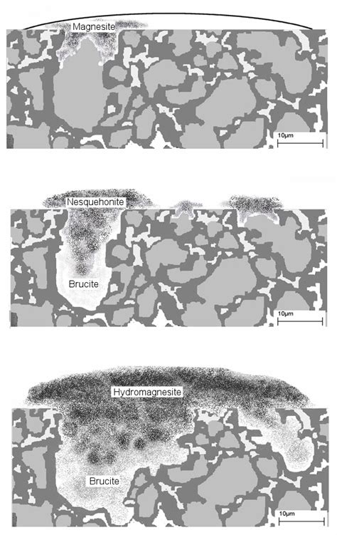 A schematic image of the corrosion process of the magnesium alloy ...