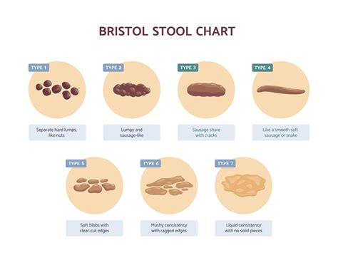 How Well Do You Know Your Poop Chart - Cashin Fouthe