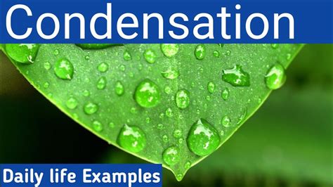 Condensation Process | Real life examples of Condensation | Daily life ...