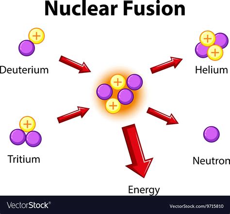 Diagram showing nuclear fusion Royalty Free Vector Image