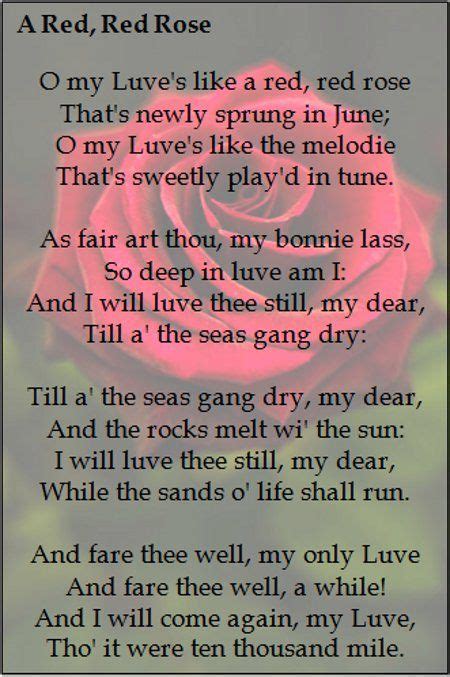 A Red, Red Rose - A Red, Red Rose Poem by Robert Burns | Rose poems ...