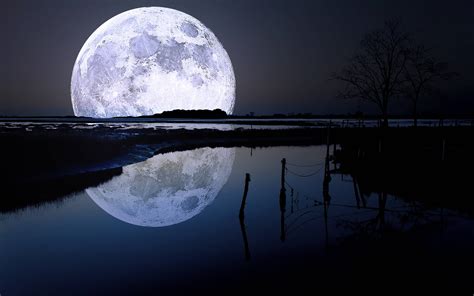 Full Moon Wallpapers Free Download - werohmedia