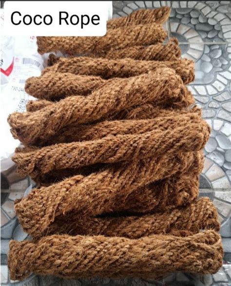 5pcs Coco Ropes | Excellent Quality Best Coco Ropes | plant pole ...