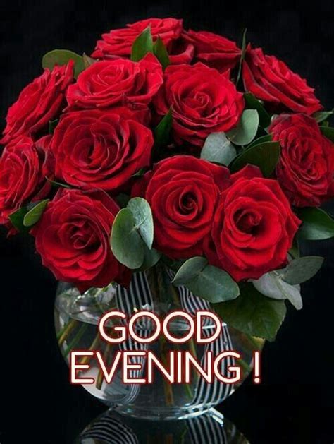 Good Evening with Red Roses