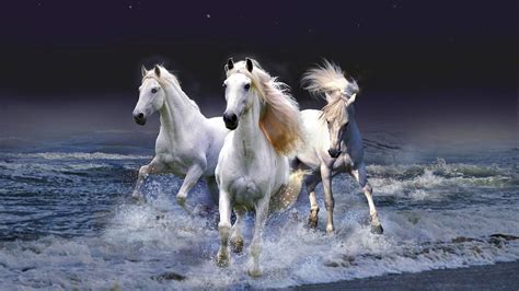 Running Horses Wallpaper - WallpaperSafari