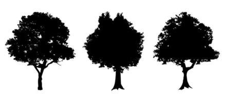 Black Tree Png