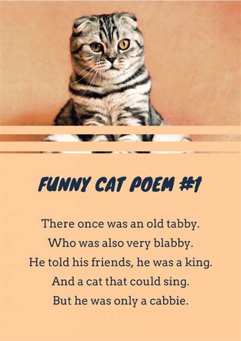 16+ Cat Poems For Kids To Read 🐈 | Imagine Forest