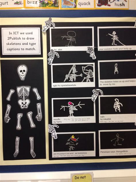 a bulletin board with skeleton pictures and instructions on it's side ...