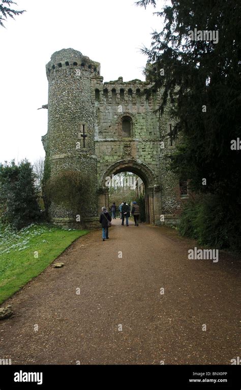 Snowdrops at Benington Lordship, Nr. Stevenage, Herts, UK Stock Photo ...