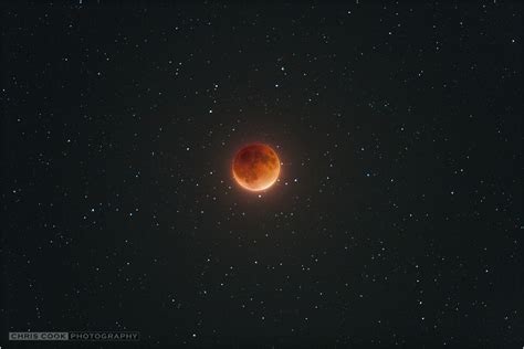 Chris Cook Photography: Total Lunar Eclipse of the Harvest Moon