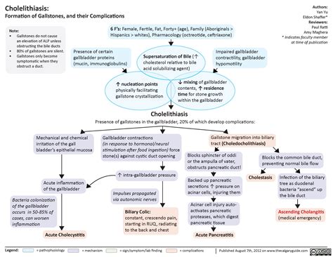 Cholelithiasis | Calgary Guide