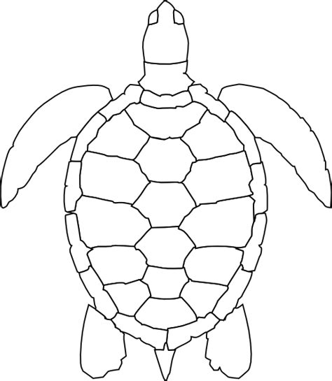 Turtle Outline Clip Art at Clker.com - vector clip art online, royalty ...