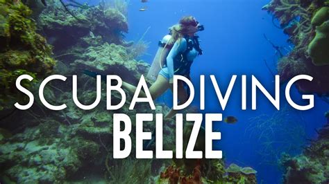 Scuba Diving The Blue Hole and Barrier Reef in Belize - YouTube