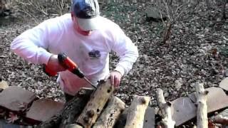 pileated woodpecker feeder plans - Woodworking Challenge