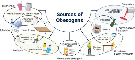 Many Household Products Contain Obesity-Promoting Chemicals, Study Says ...