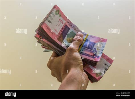 Hand holding stacks of Sudanese Pound banknotes Stock Photo - Alamy