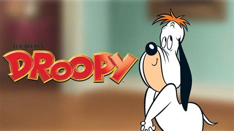 18 Facts About Droopy (Droopy) - Facts.net