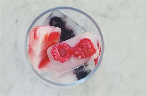 Fruit Ice Cubes Recipe — zak! designs