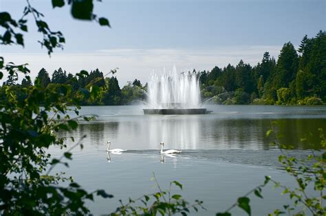 Jubilee Fountain in Lost Lagoon, Stanley Park Vancouver | Stanley park ...