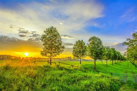 scenery, Sunrise, And, Sunset, Field, Trees, Nature Wallpapers HD ...