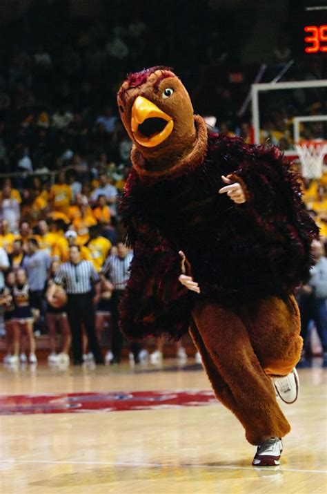 St. Joseph's mascot wings it | The Daily Pennsylvanian