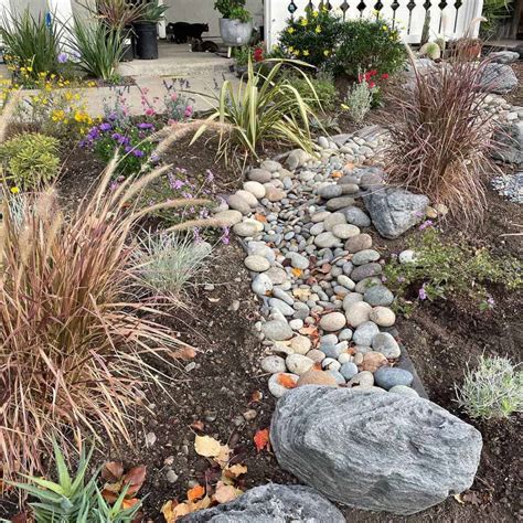 Xeriscape Landscaping Ideas: 62 Eco-Friendly Designs for Your Garden