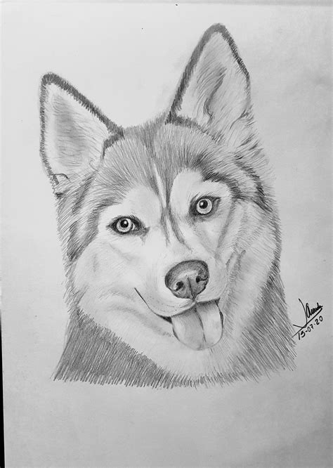 Pin by Javier Aranda on Dibujos a lápiz | Animal drawings sketches ...