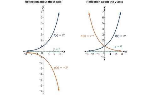 Stretch, Compress, or Reflect an Exponential Function | College Algebra