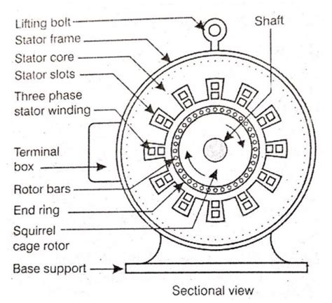 Three Phase Induction Motor || Construction & Working Principle