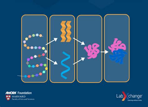 In the News: Protein Folding