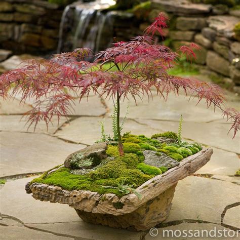 29 Easy DIY Japanese Garden Designs You Can Create To Complete Your ...