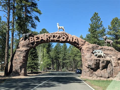 Bearizona Wildlife Park in Williams, Arizona