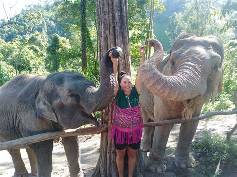 CHIANG MAI ELEPHANT SANCTUARY HALF DAY - CHIANG MAI TOURS