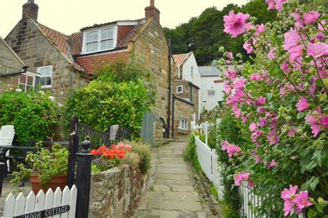 "Runswick Bay Cottages" by Martin Humphreys at PicturesofEngland.com