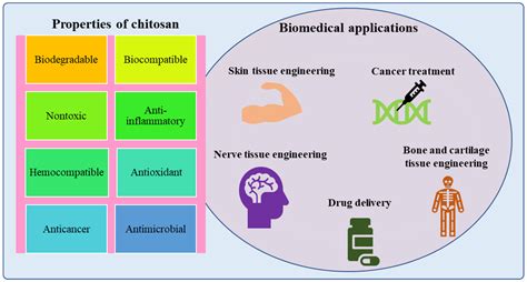 Materials | Free Full-Text | Chitosan Nanoparticles: A Versatile ...