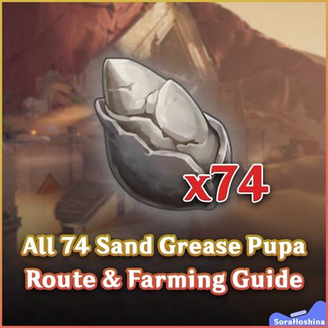 All 74 Sand Grease Pupa Route & Farming Guide | Genshin Impact