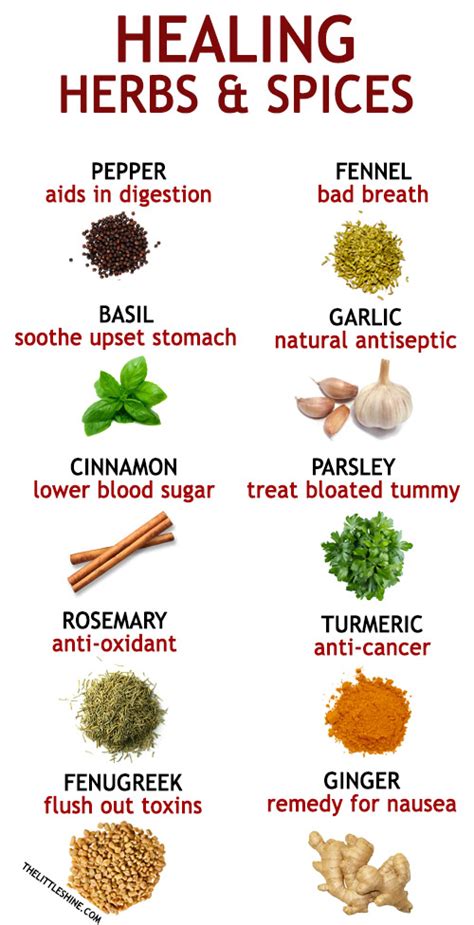 10 HEALING HERBS AND SPICES - The Little Shine