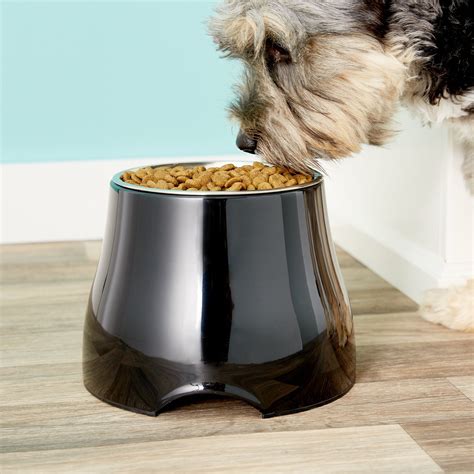 10 Elevated Dog Food Bowls Your Furry Friend Will Love And Why You Need ...